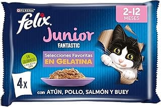 Imagen principal de Mejor comida húmeda para gatos junior (1-12 meses): comparativa 2026