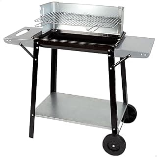 Aktive Barbacoa carbón y leña