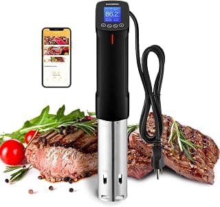 Inkbird ISV-100W WiFi