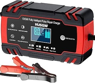 Chargeur batterie 8 A 12/24 V avec réparation