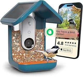 Bird Buddy Original avec caméra solaire