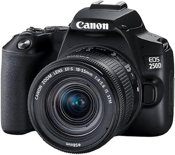 Canon EOS 250D met 18-55mm IS STM