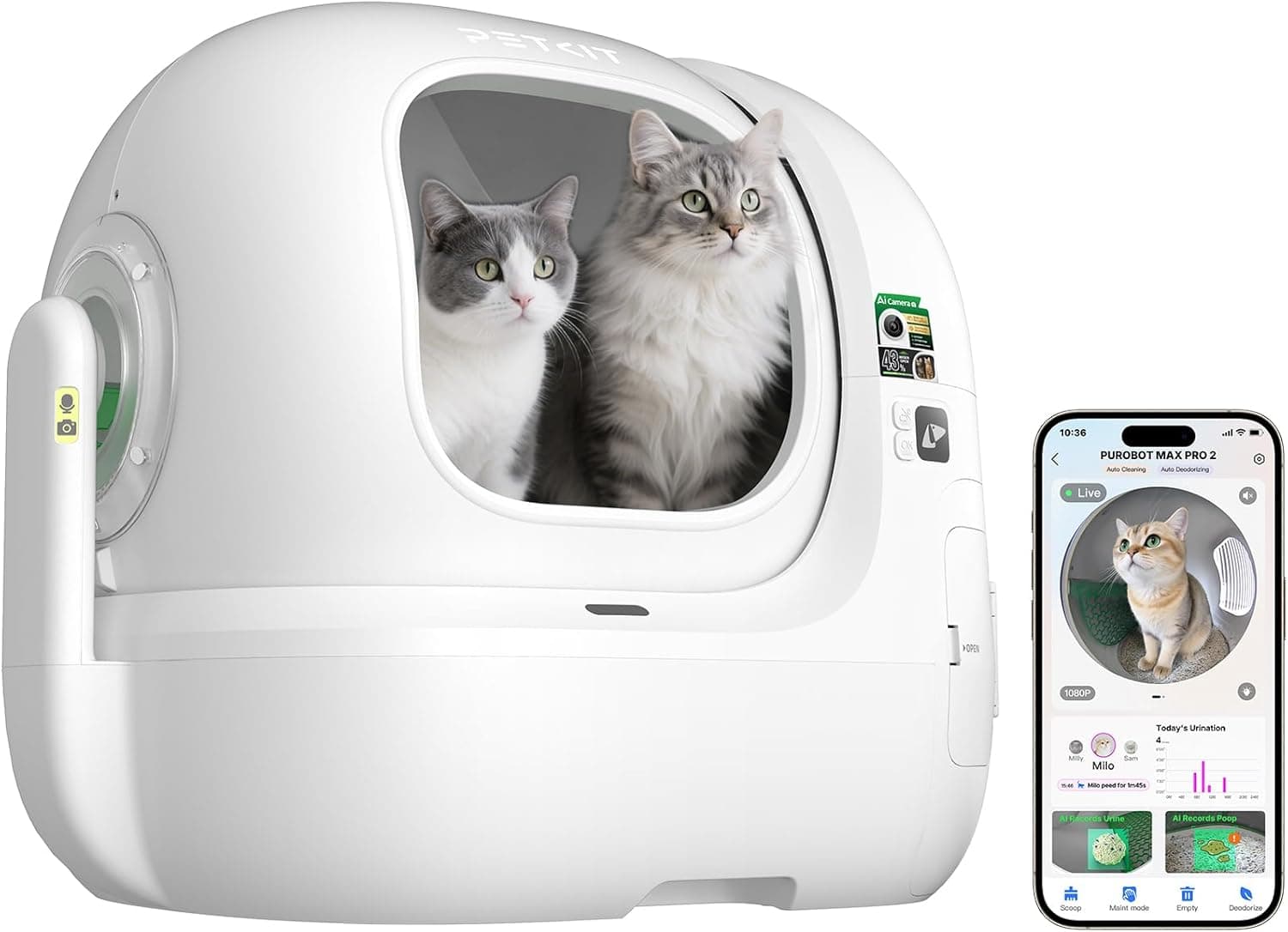Imagen principal de Mejores areneros de gatos automatizados (2026)