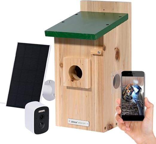 Eazy Luxury Vogelhaus mit WLAN-Kamera