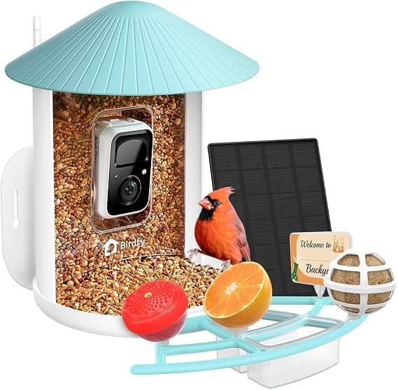 NETVUE Birdfy Vogel-Futterhaus mit Kamera