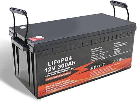 WILLQ LiFePO4 12 V 100 Ah