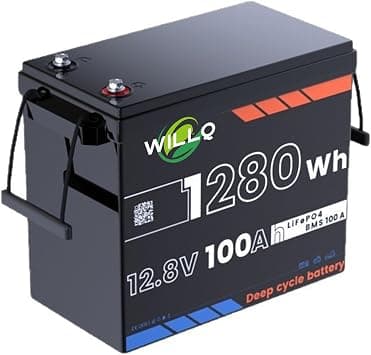 WILLQ 12 V 100 Ah compacte