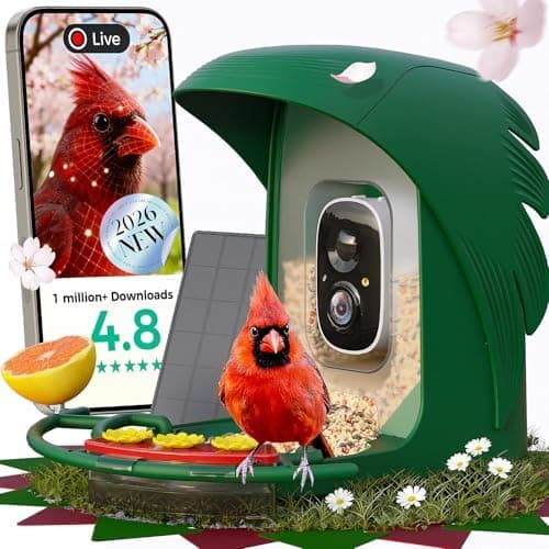 PerchMe Bird Feeder 2K