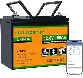 ECO-WORTHY LiFePO4 12 V 100 Ah Bluetooth