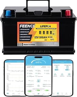Feence Mini Size LiFePO4 12 V 100 Ah