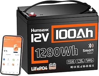 HumsiENK LiFePO4 12 V 100 Ah Bluetooth