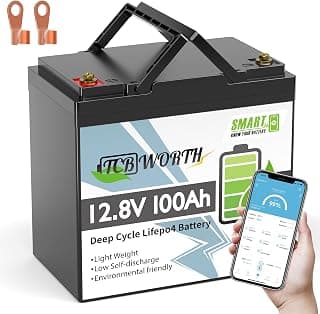 TCBWORTH LiFePO4 12 V 100 Ah Bluetooth Mini